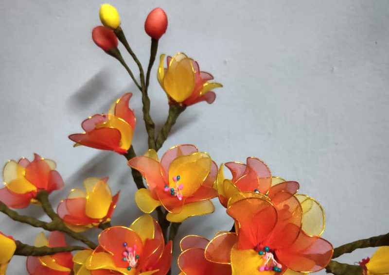 Life in the Time of Corona